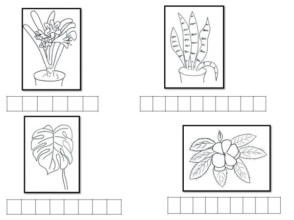 Комнатные растения задания для детей