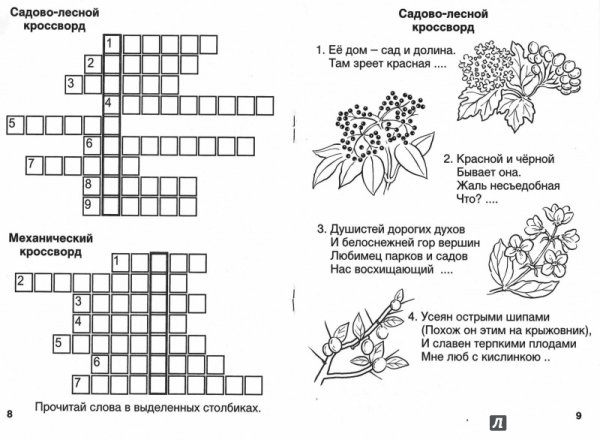 Кроссворд для младших школьников