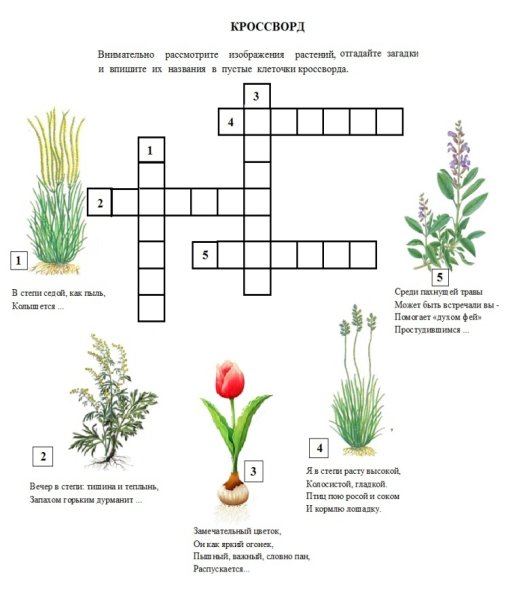 Кроссворд на тему растения