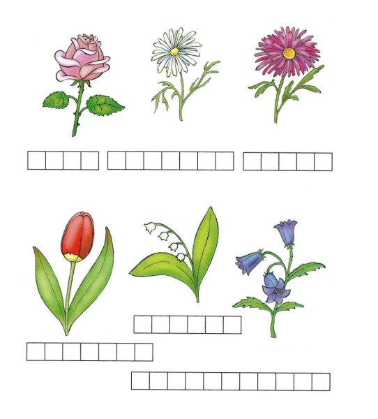 Цветы задания для детей 6-7 лет