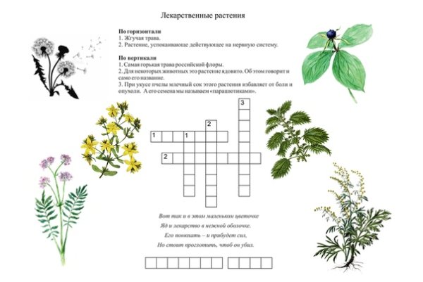 Кроссворд лекарственные растения