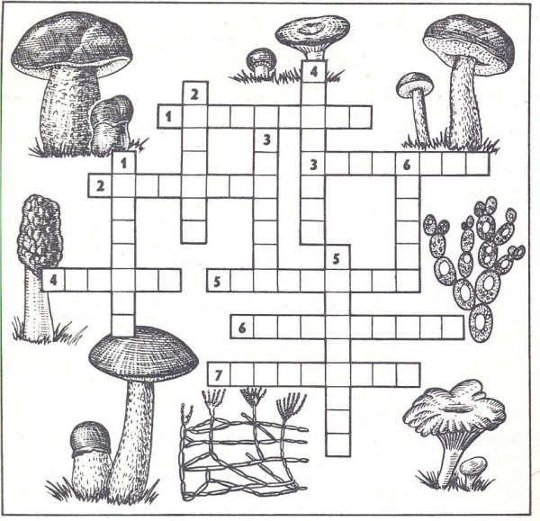 Грибы задания для детей