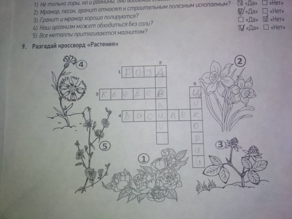 Кроссворд на тему цветы