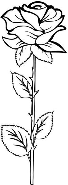 Цветы со стеблем для вырезания