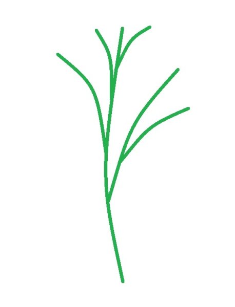 Стебельки без цветов