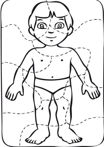 Части тела человека раскраска