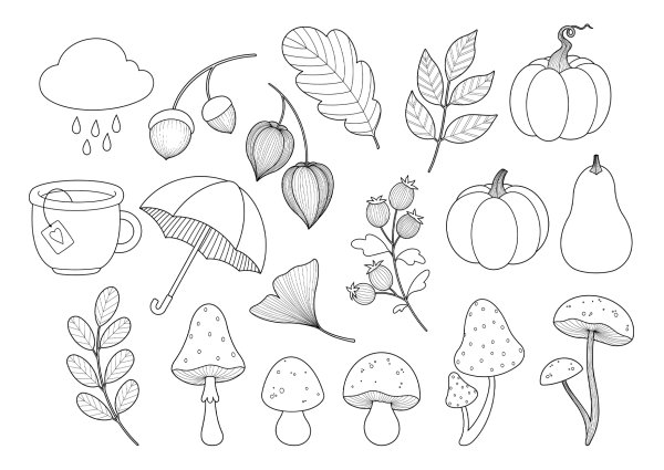 Раскраска осень для малышей