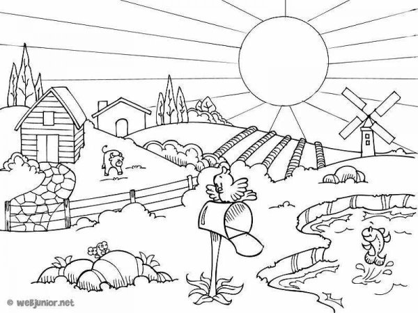 Раскраска природа для детей