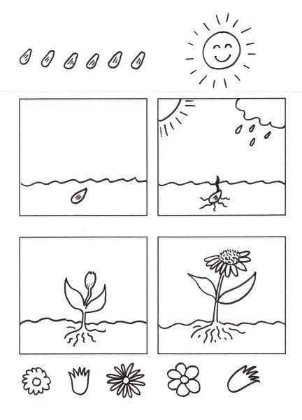 Растения задания для малышей