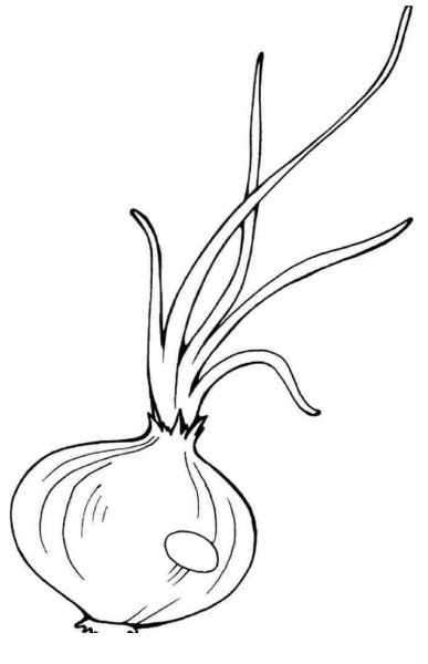 Лук рисунок