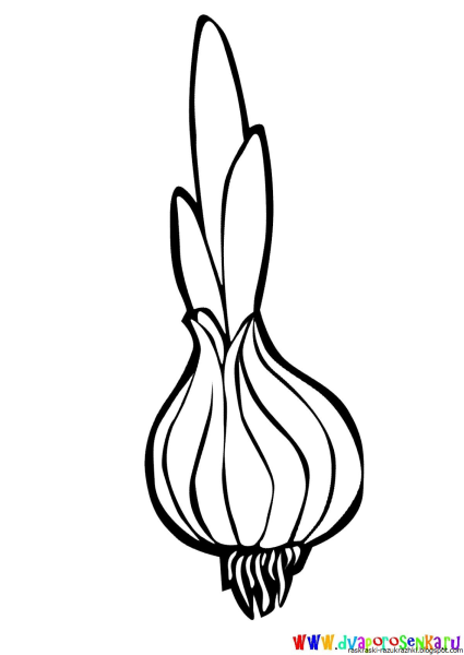 Лук раскраска для детей