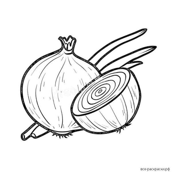 Лук рисунок черно белый