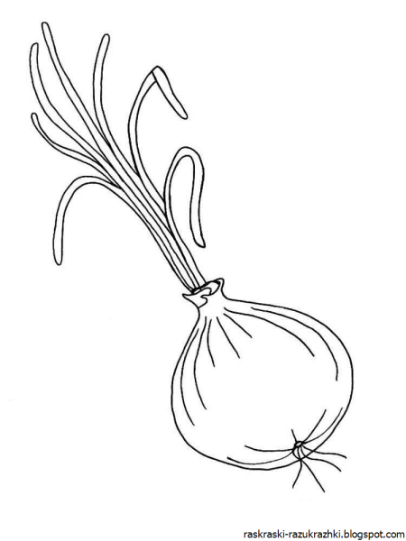 Лук раскраска