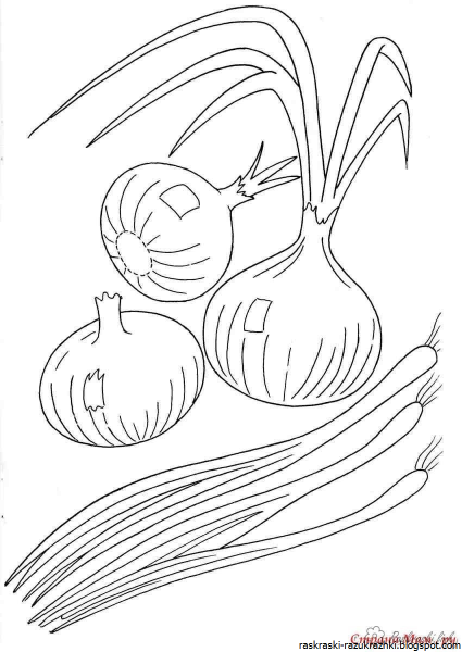 Лук раскраска для детей