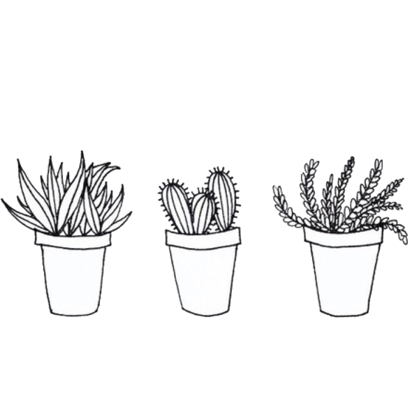 Кактус черно белый для распечатки