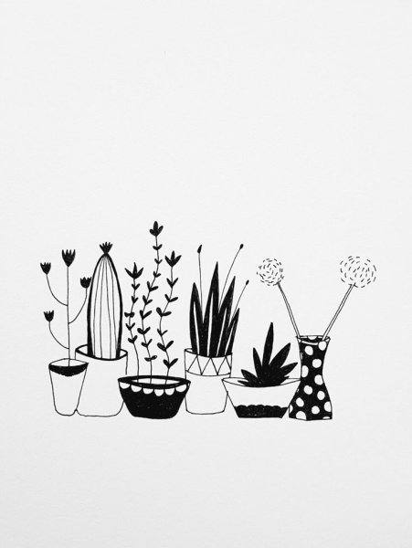 Графический дизайн кактусы