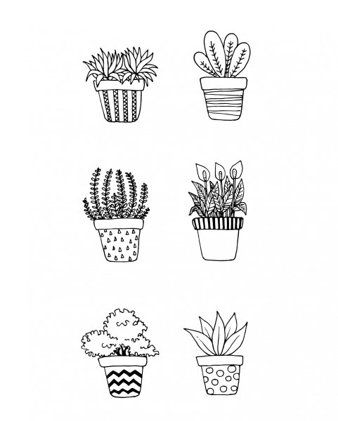 Дудлы цветы в горшке