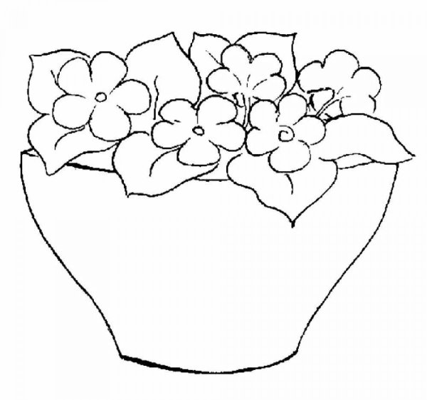 Раскраска фиалка в горшке