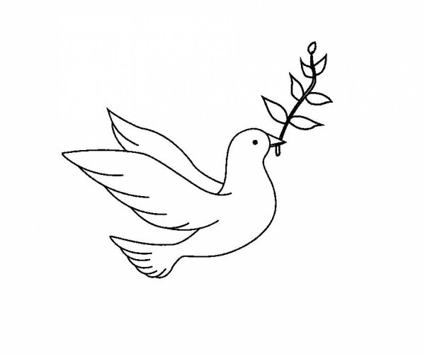 Голубь рисунок