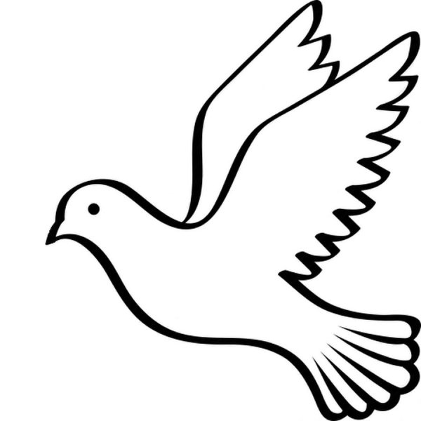 Изображение голубя