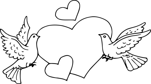 Голубь раскраска для детей