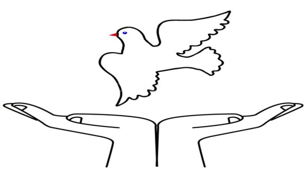 Голубь в небе раскраска