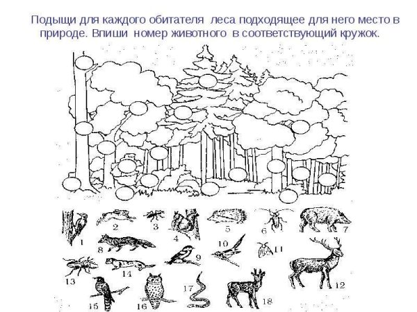 Задания по экологии