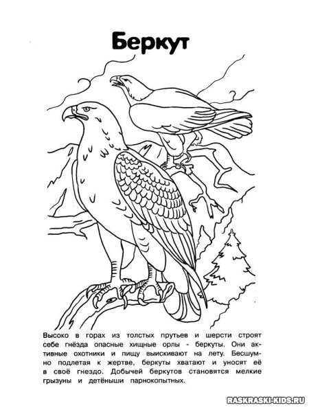 Животные красной книги раскраска