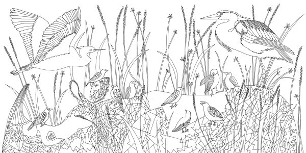 Раскраска природа