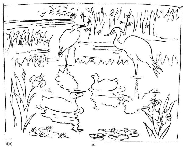 Раскраски перелетные птицыптиц