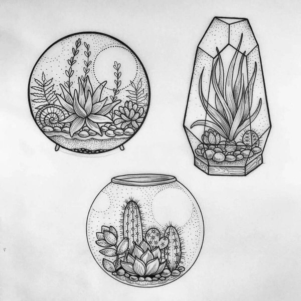 Эскиз композиции растений