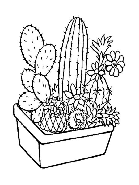 Комнатные растения раскраска