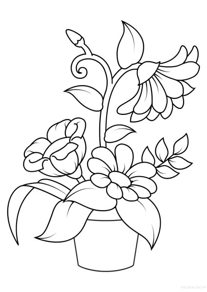 Раскраска цветочек