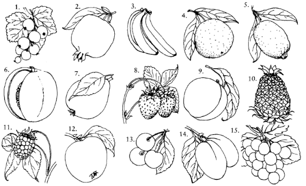 Раскраски фрукты и овощи и ягоды