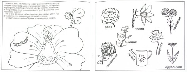 Растения задания для дошкольников