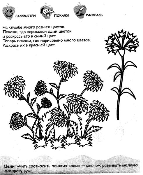 Травянистые растения задания для дошкольников