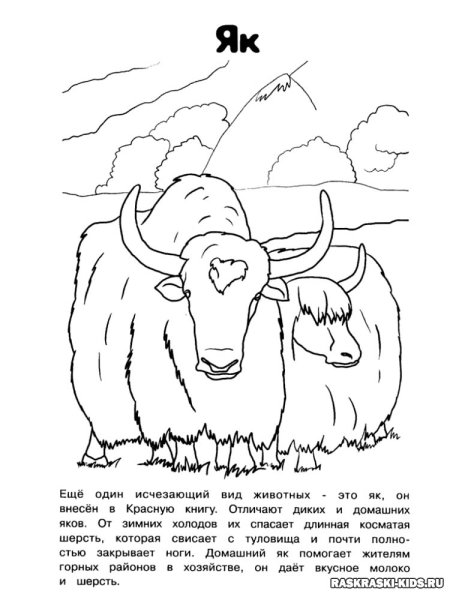 Животные красной книги России раскраска и описание
