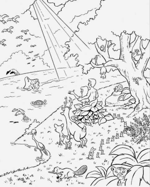 Дни творения раскраска для детей