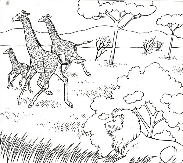 Раскраска сафари