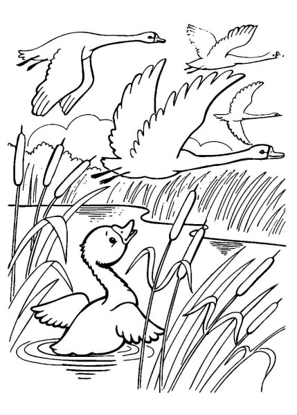 Рисунок к сказке Андерсена Гадкий утенок