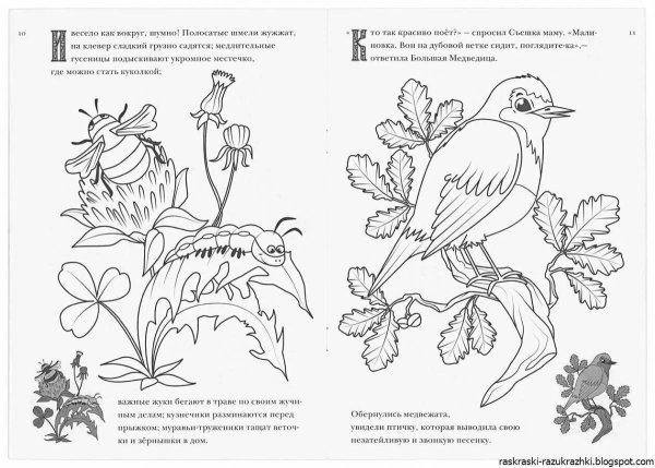 Раскраски к произведениям Маршака Тихая сказка