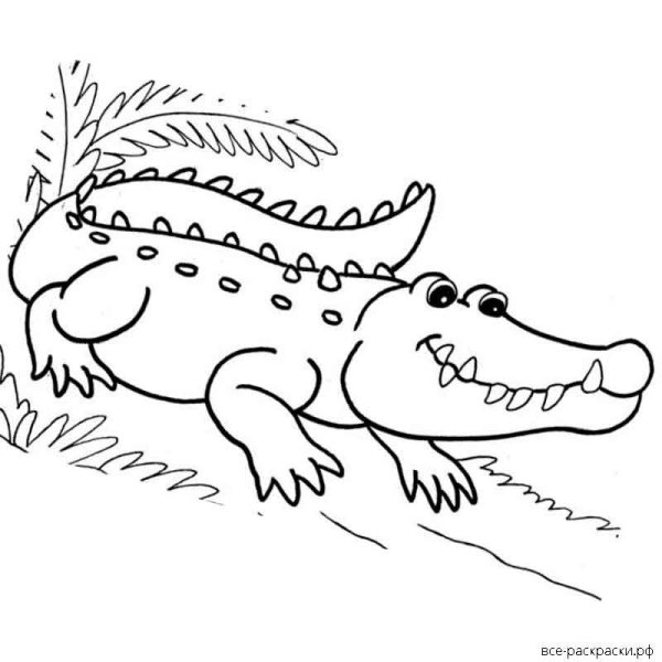 Крокодил краденое солнце раскраска