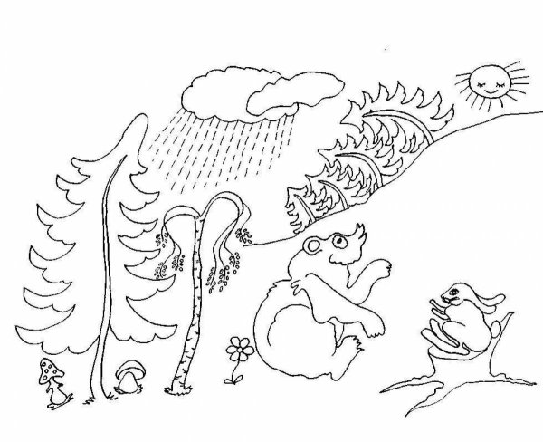 Раскраски к рассказам Чарушина