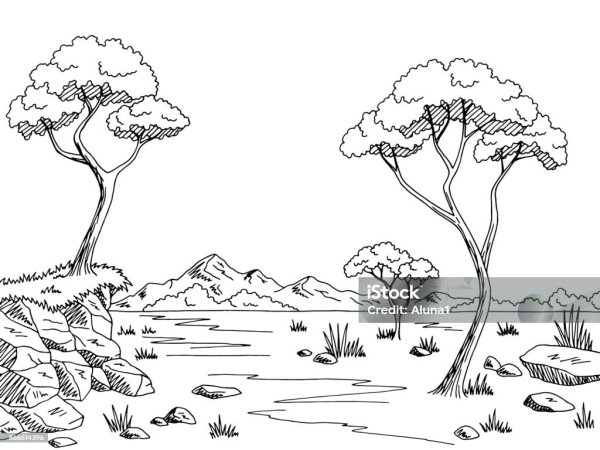 Саванна раскраска для детей