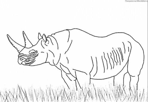 Раскраска животные саванны для детей