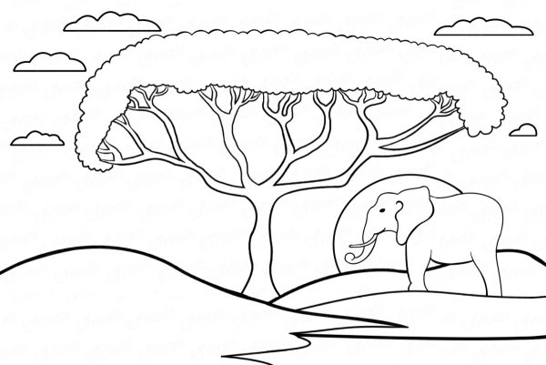 Саванна раскраска для детей