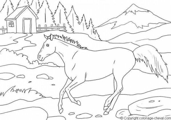 Раскраска Дагестан