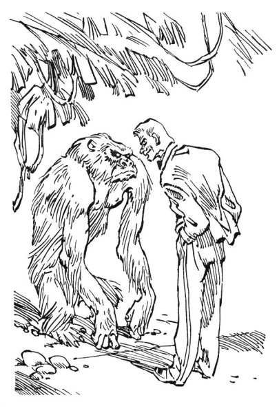 Евгений Мигунов иллюстрации Рэсси Неуловимый друг