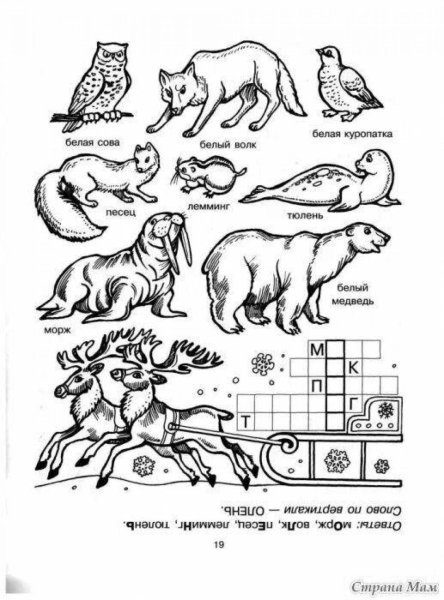 Красная книга задания для детей