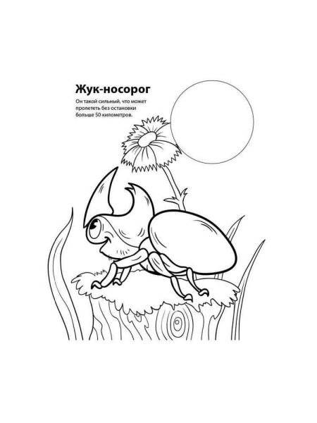 Животные красной книги раскраска